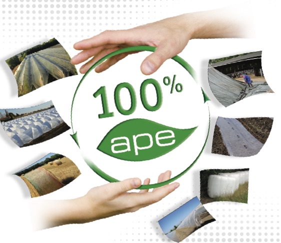 ape122015 ape122015