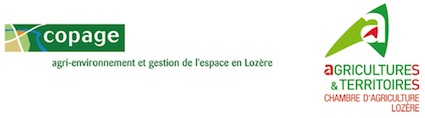 copage032014 copage032014