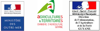 guyane2014 guyane2014