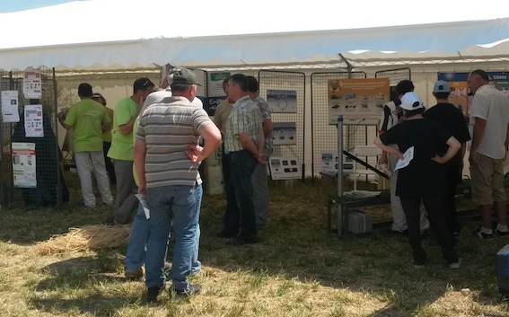 dauphinoise072014 dauphinoise072014