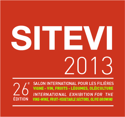 sitevi102013