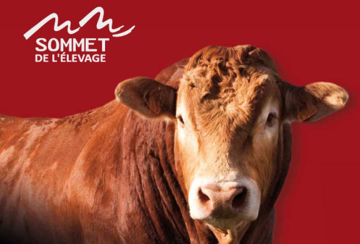 sommet 