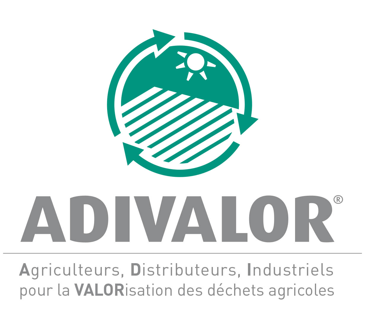 logo adivalor signature