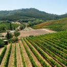 A.D.I.VALOR, aux côtés des opérateurs corses 
A.D.I.VALOR, à fiancu à l’operatori corsi 