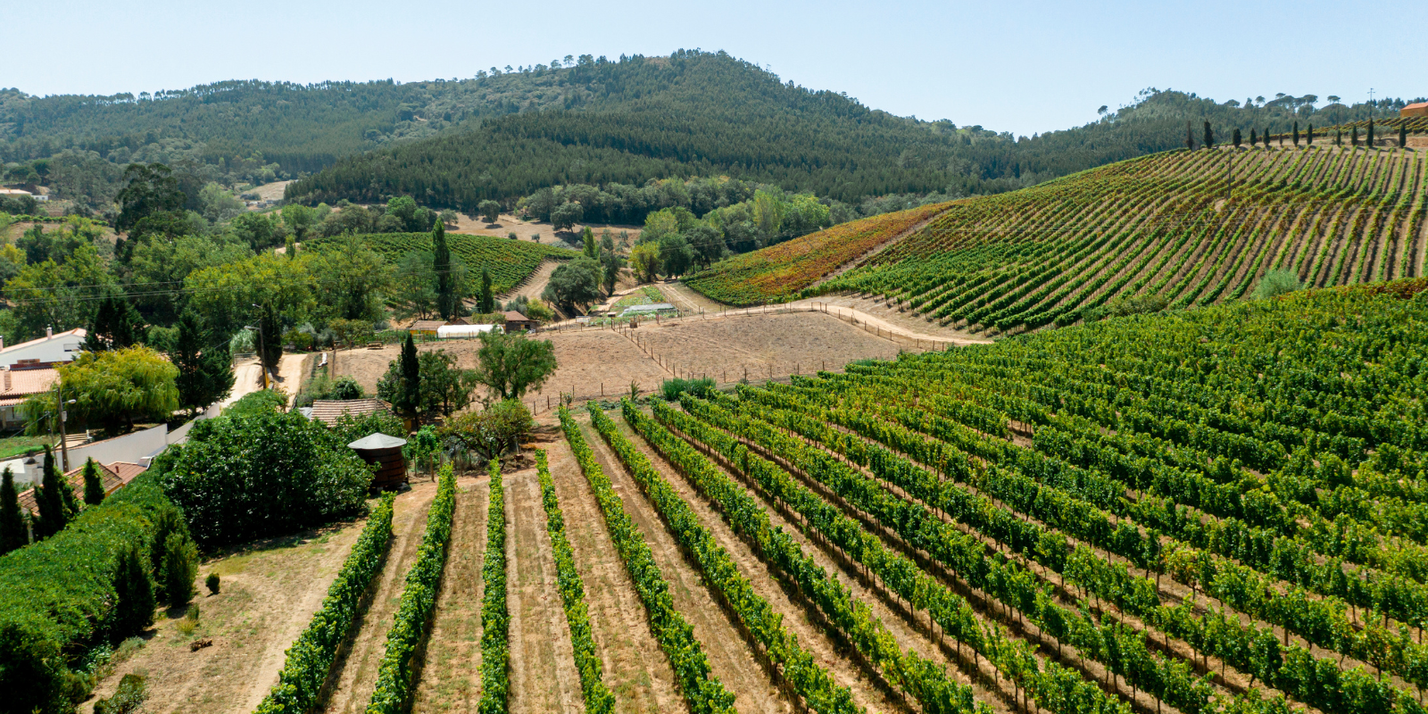 A.D.I.VALOR, aux côtés des opérateurs corses 
A.D.I.VALOR, à fiancu à l’operatori corsi 