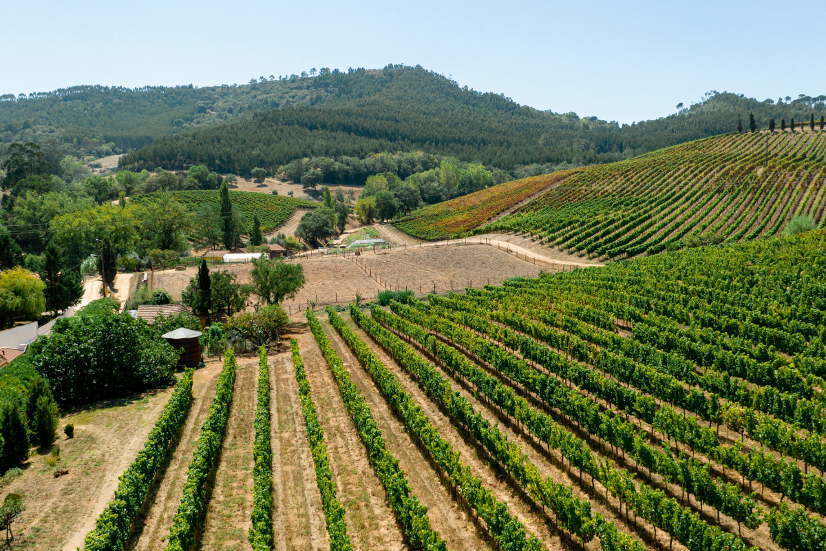 A.D.I.VALOR, aux côtés des opérateurs corses 
A.D.I.VALOR, à fiancu à l’operatori corsi 