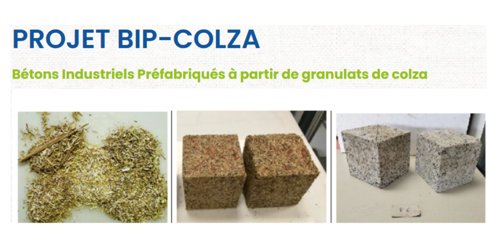 BIP colza : des co-produits agricoles valorisés dans le bâtiment 