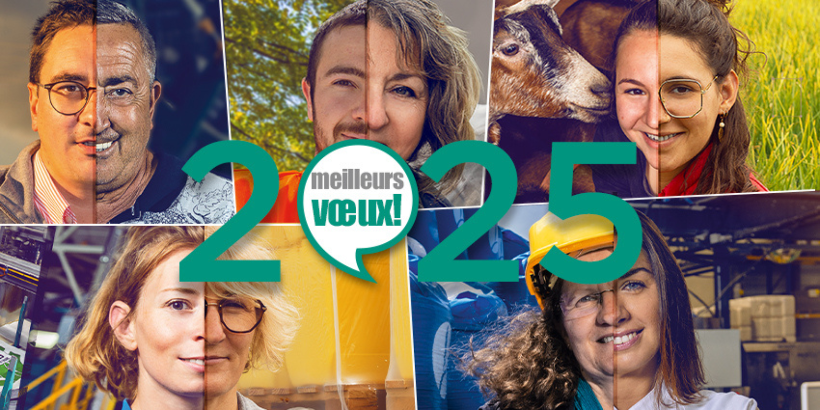 Une année 2024 historique !