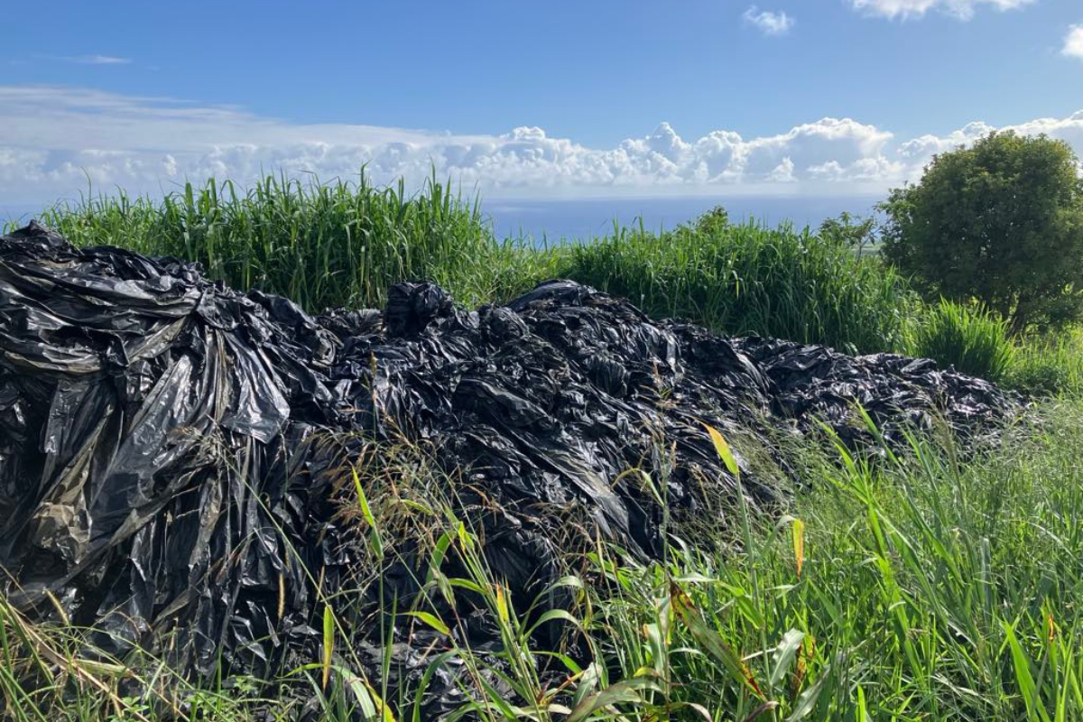 Lancement de l’étude sur la collecte des films agricoles à La Réunion