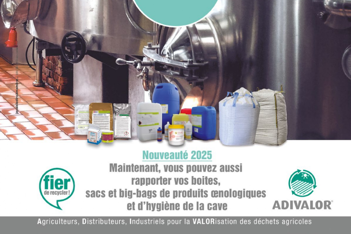 Vendanges 2025 : extension du programme de collecte des emballages complexes en œnologie