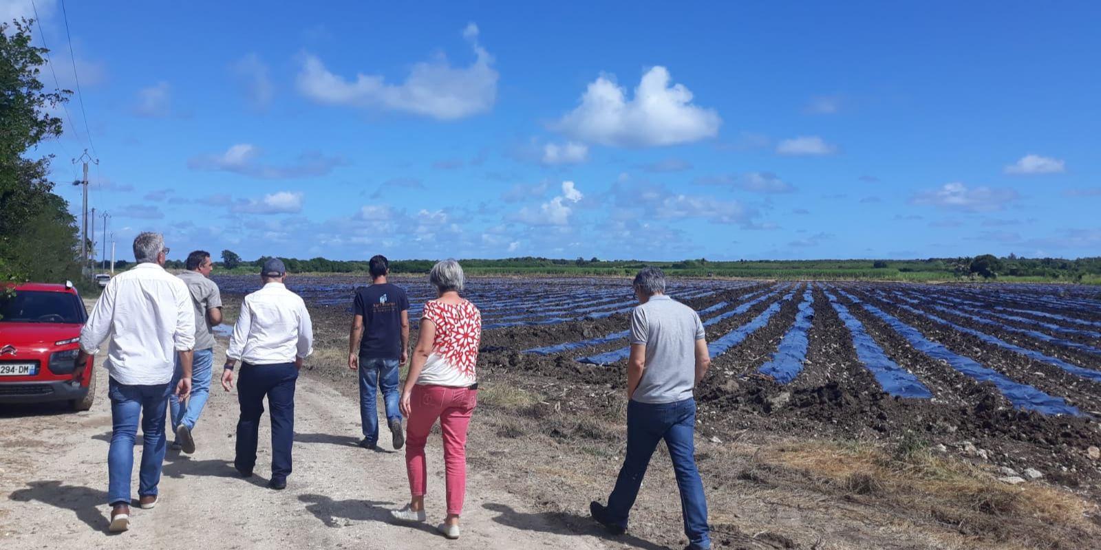 Caraïbes Melonniers envisage d\'élargir son partenariat avec A.D.I.VALOR en Guadeloupe