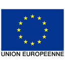 Contribution plastique de l’Union européenne :  la France a payé 1,2 milliard d’euros en 2021 