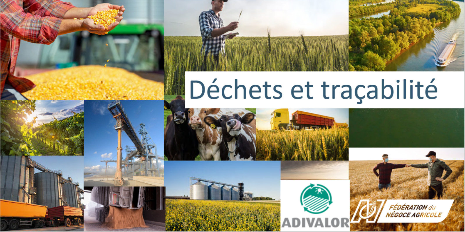 Webinaire de la Fédération du Négoce Agricole : tout savoir sur l’évolution de la règlementation des déchets