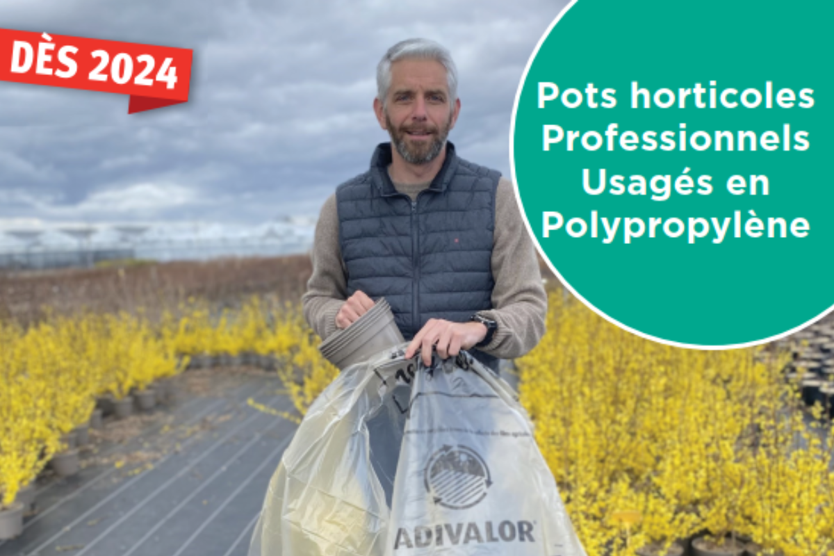 Pots Horticoles Usagés en Polypropylène : des webinaires pour aider au lancement du nouveau programme