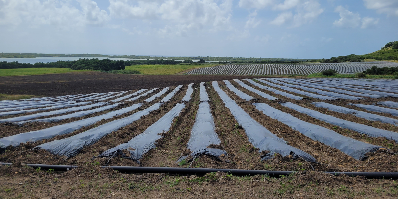 A.D.I.VALOR en mission aux Antilles auprès d’ECODIAM et AGRVALOR