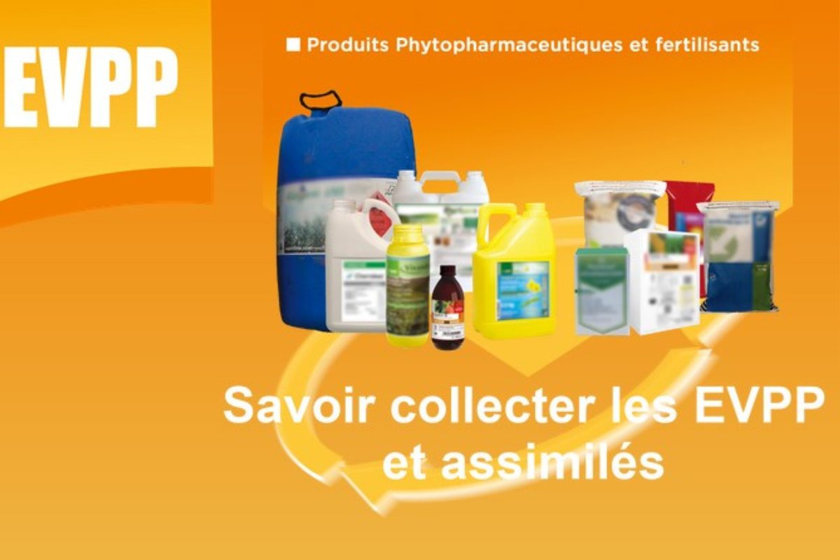 Un nouvel outil en ligne pour former les opérateurs à la collecte des Bidons vides