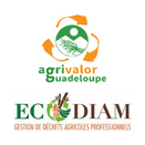 ECODIAM et AGRIVALOR en visite en métropole 