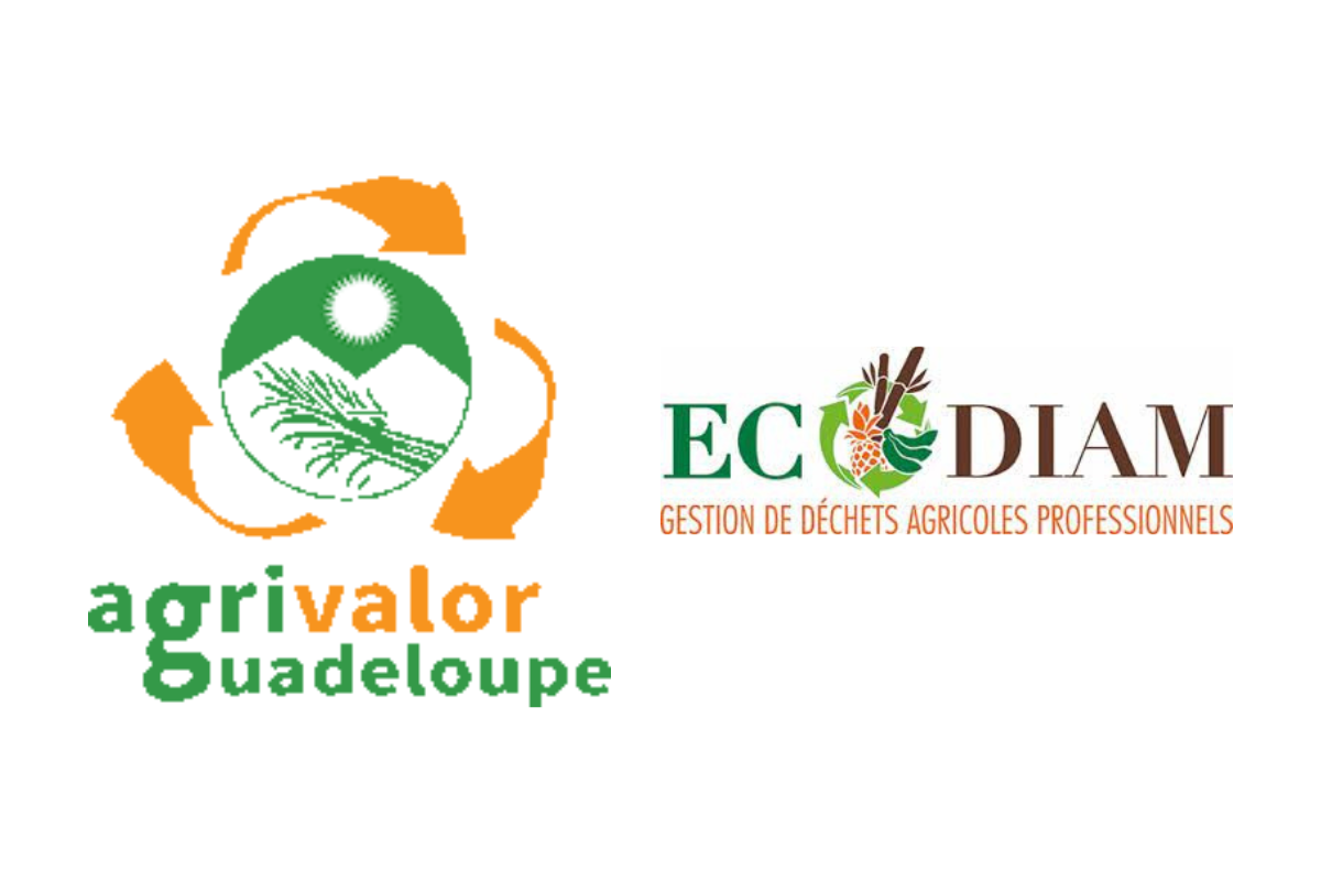 ECODIAM et AGRIVALOR en visite en métropole 