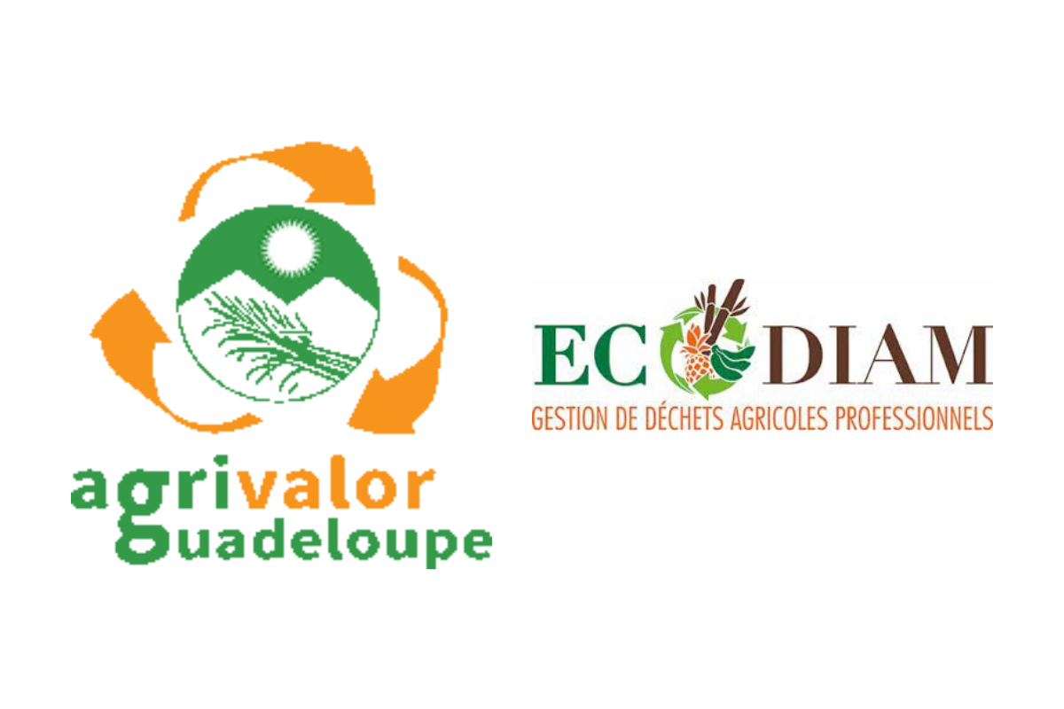 Ronan VANOT et Laurence DURADE en mission dans les DROM auprès des organismes locaux de gestion des déchets agricoles.  