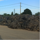 Le succès est toujours au rendez-vous pour la collecte des films de paillage échalotes
