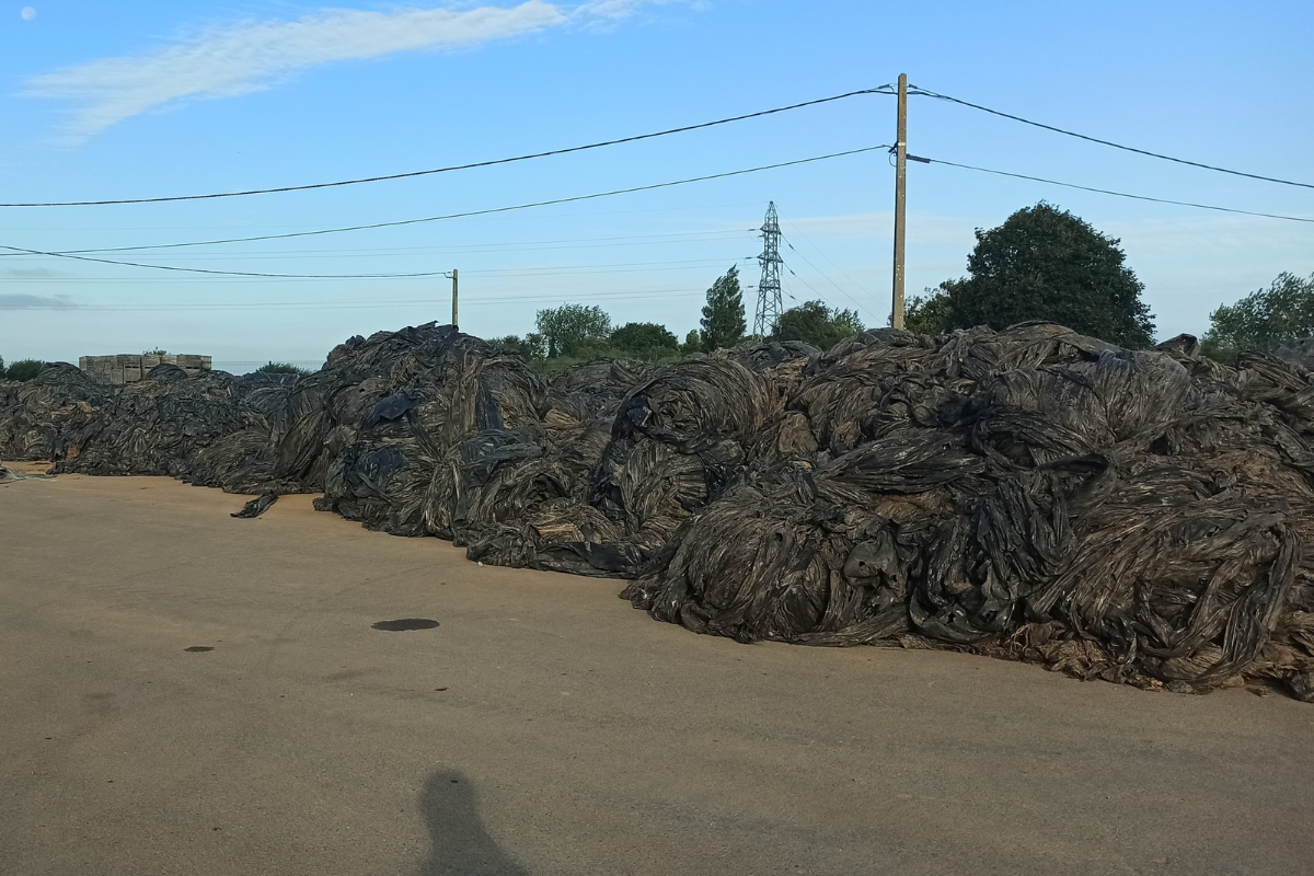 Le succès est toujours au rendez-vous pour la collecte des films de paillage échalotes