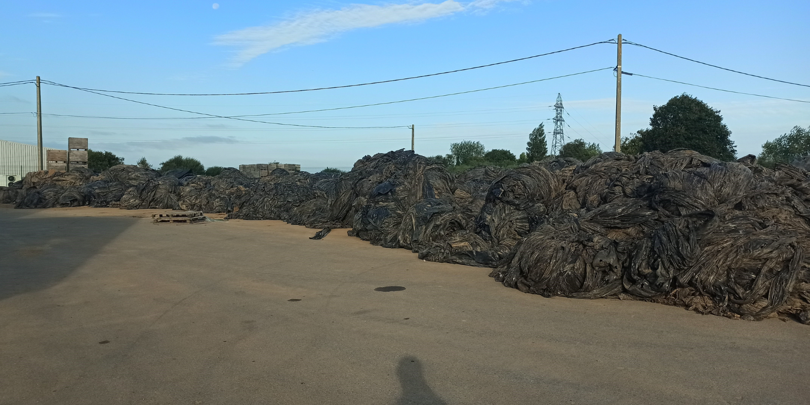 Le succès est toujours au rendez-vous pour la collecte des films de paillage échalotes