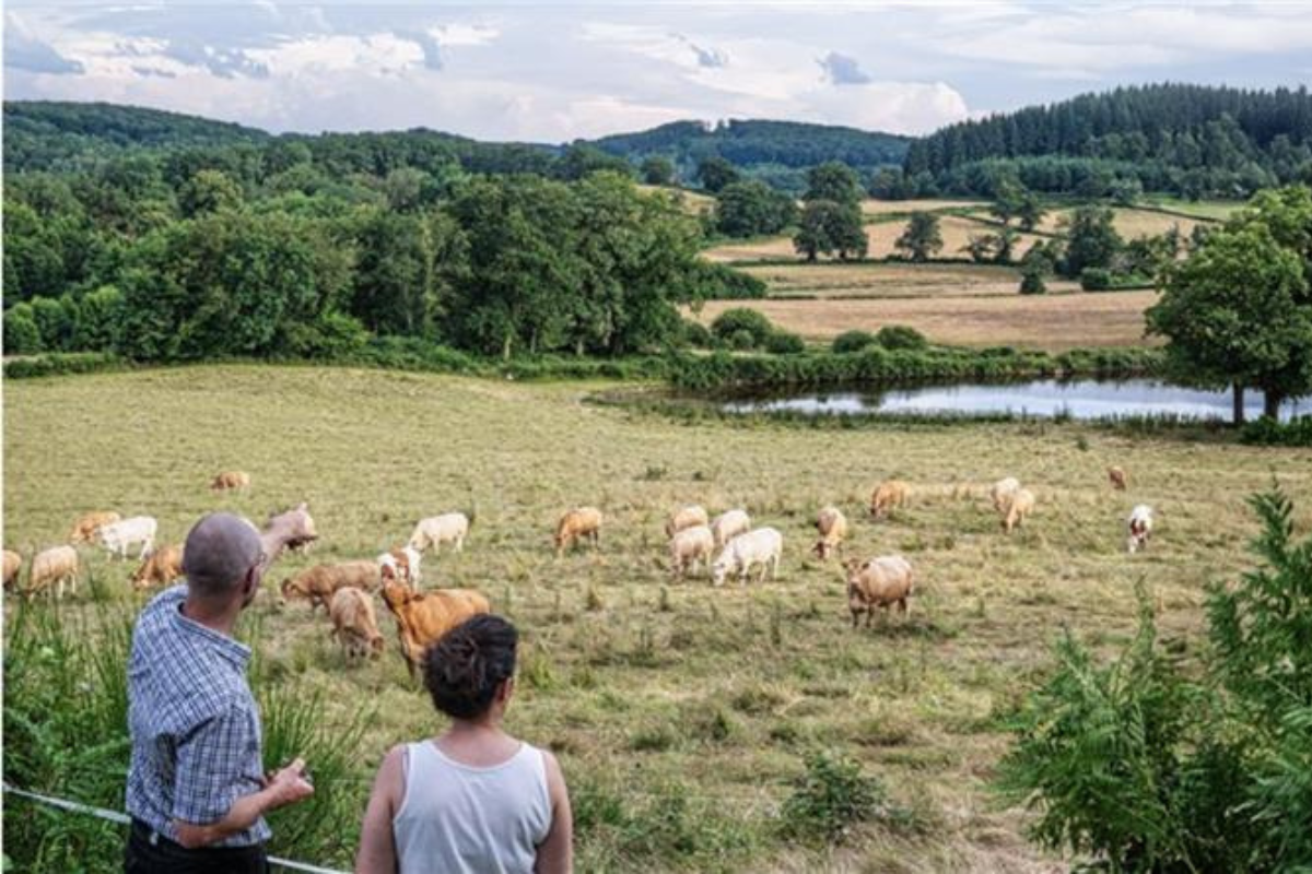 Un projet de loi agricole présenté en Conseil des ministres