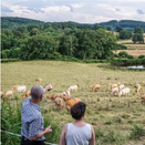 Un projet de loi agricole présenté en Conseil des ministres