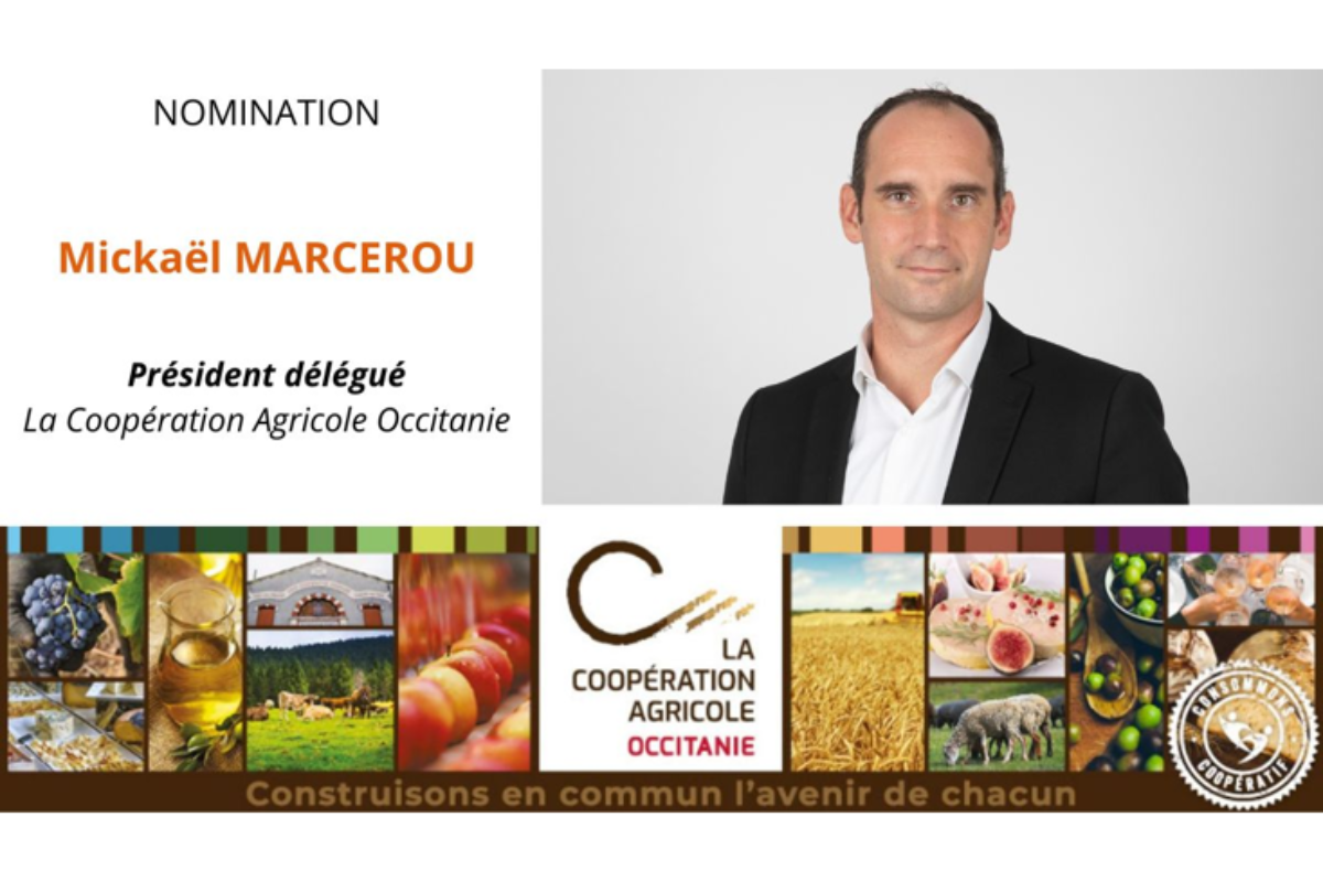 Mickaël Marcerou élu Président délégué de La Coopération Agricole Occitanie