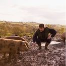 La Collecte Médicale : une solution pour les déchets vétérinaires