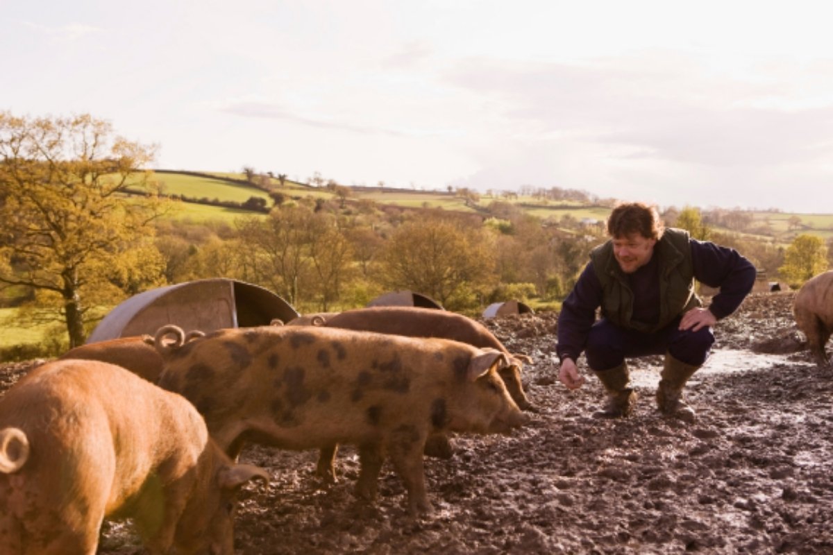 La Collecte Médicale : une solution pour les déchets vétérinaires