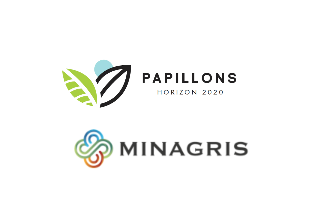 Retours sur la conférence internationale de PAPILLONS et MINAGRIS