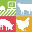 Les entreprises de nutrition animale agissent pour le recyclage